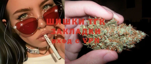 амф Гусев