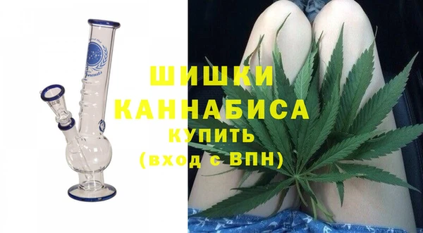 спайс Гусь-Хрустальный