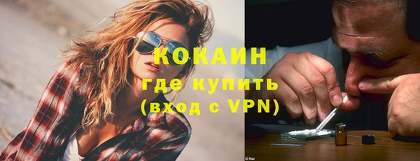 спайс Гусь-Хрустальный