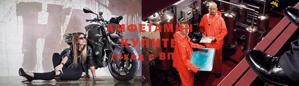 амф Гусев