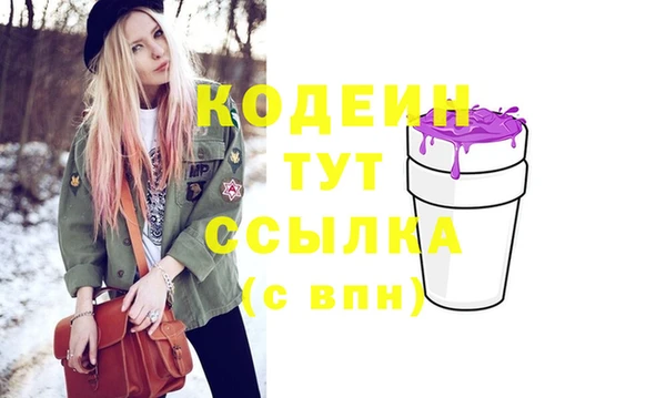 спайс Гусь-Хрустальный