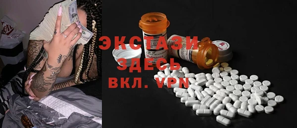 амф Гусев