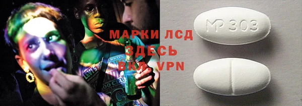 амф Гусев