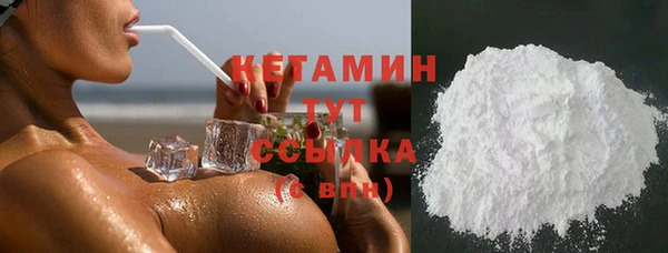 амф Гусев