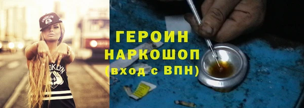 амф Гусев