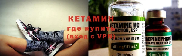 амф Гусев