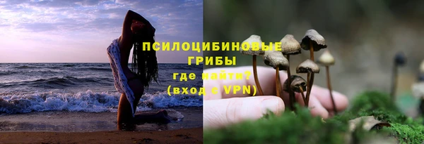 спайс Гусь-Хрустальный