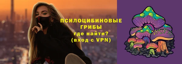 спайс Гусь-Хрустальный