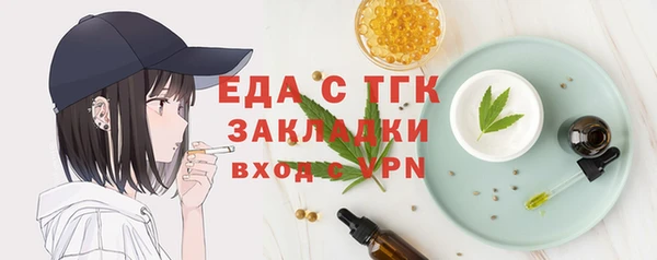 амф Гусев