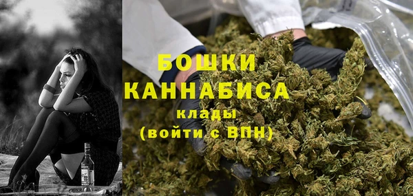 спайс Гусь-Хрустальный