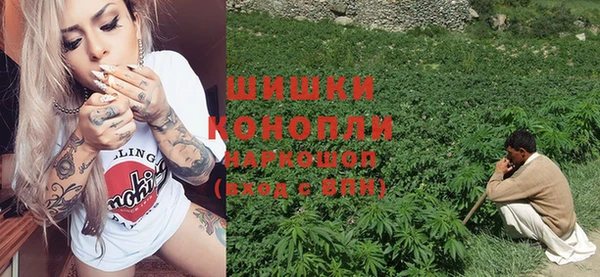 спайс Гусь-Хрустальный