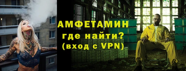 амф Гусев
