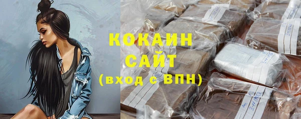 амф Гусев