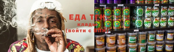 амф Гусев